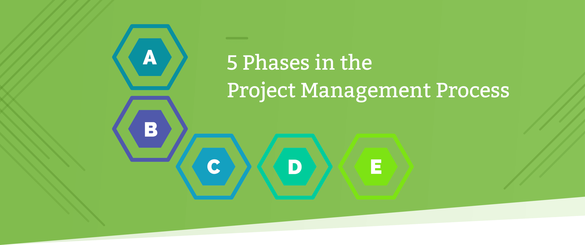project management process header
