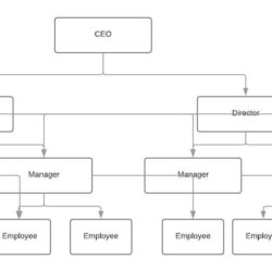 Organizational Structure | Best Organizational Structure Examples