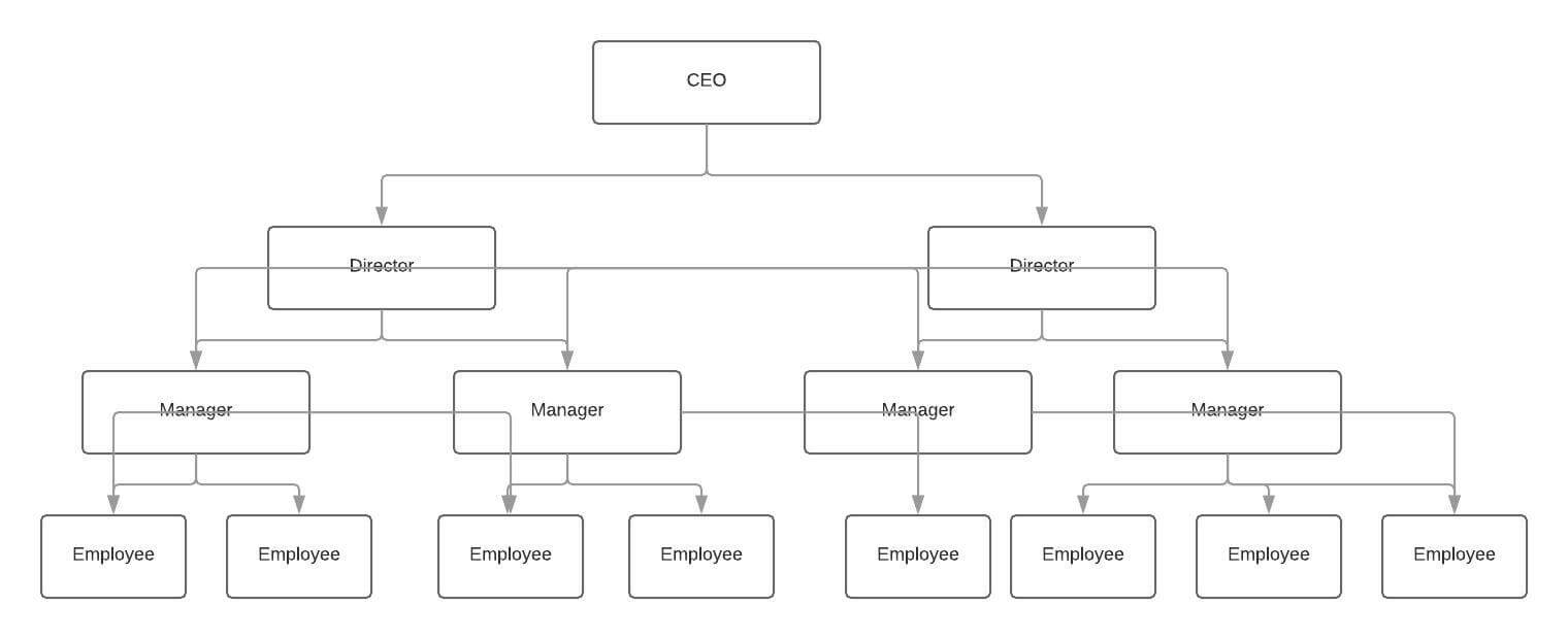 functional organizational structure graph