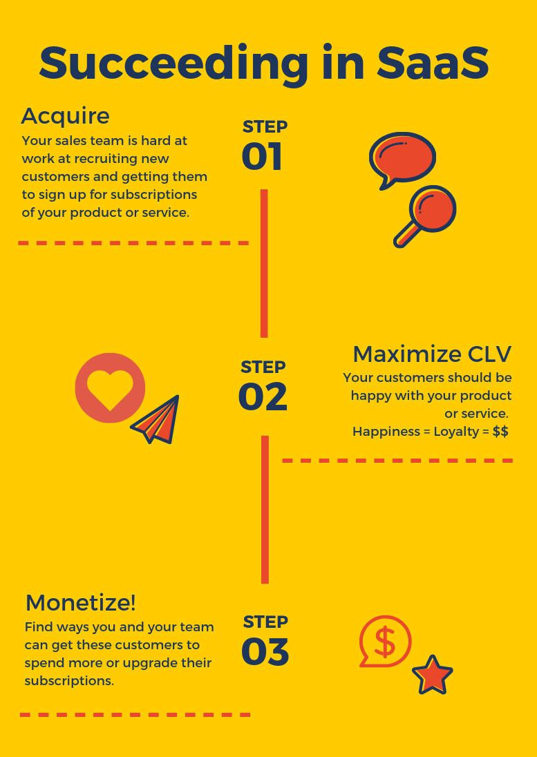 Succeeding in Saas - saas metrics